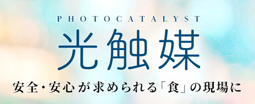 光触媒